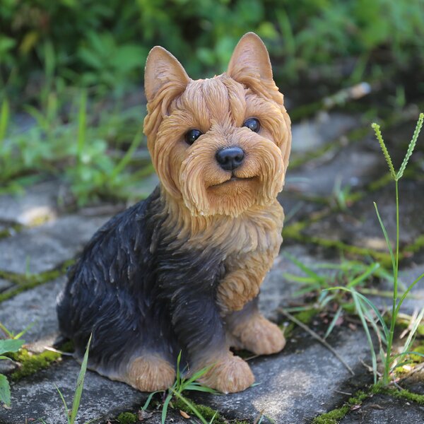 yorkie dog statue